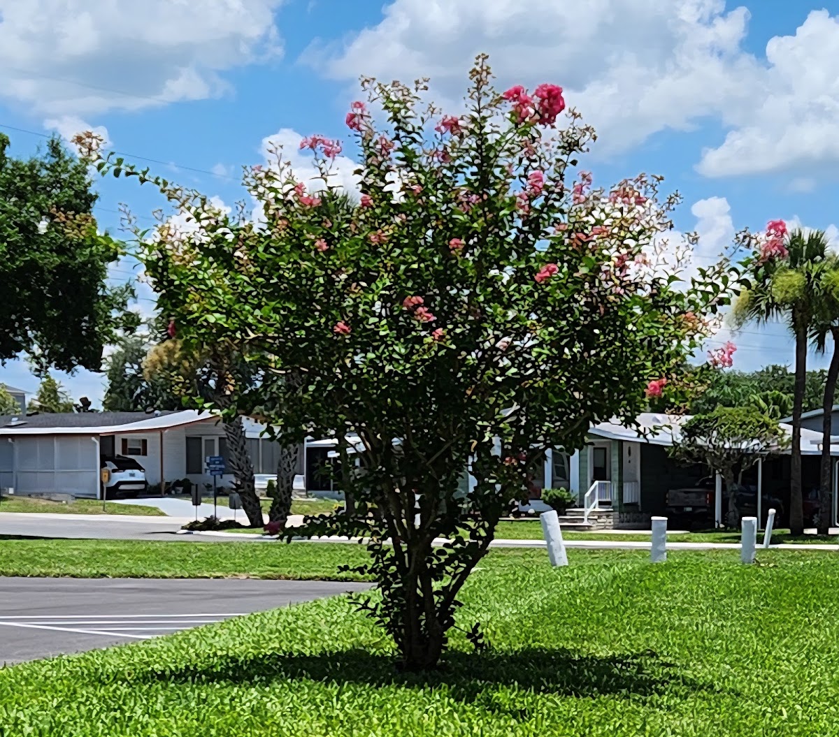 Lakeland Harbor manufactured home community in Lakeland, Florida